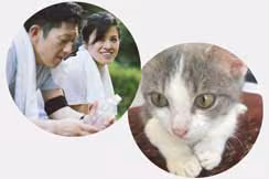 man and woman with towels and water bottle from exercising and a grey and white kitten