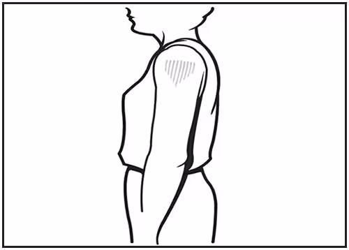 admin-fig-3.jpg This line drawing is a side view of an adult. The deltoid muscle of the arm is shaded, showing the proper site for intramuscular vaccine administration.