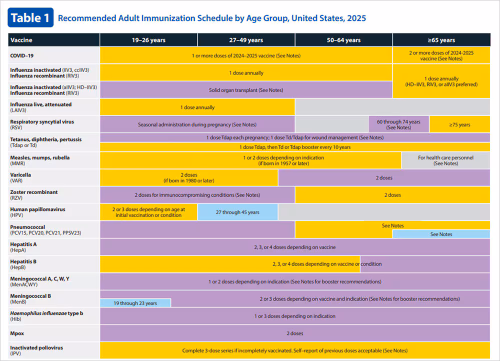 Adults immunization schedule.