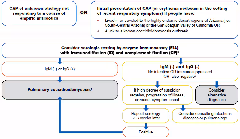 A flow chart on diagnosing coccidioidomycosis