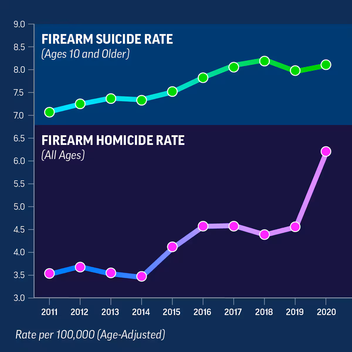 Graphs that show firearm homicides rose sharply and firearm suicides remained high