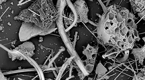 Dust-from-ground-zero-magnified Dust from ground zero magnified under a scanning electron microscope