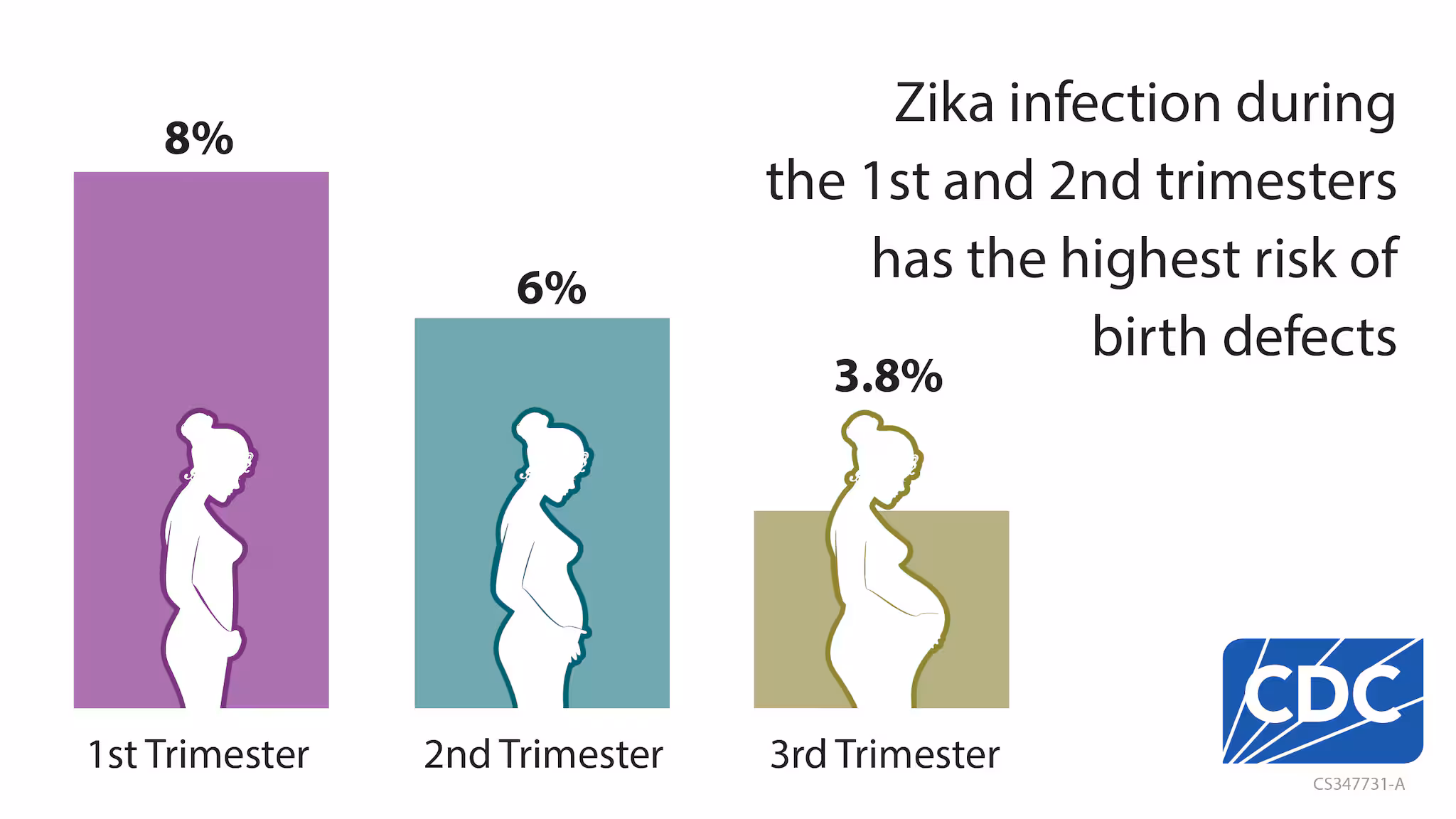 Bar chart with three columns showing that 8%, 6% and 3.8% of people with Zika virus infection during pregnancy during the first, second and third trimesters, respectively, had an infant with a birth defects.